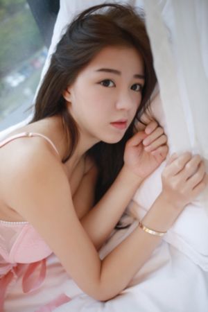 肥猫寻亲记第一部免费观看_高清点播免费观看最新