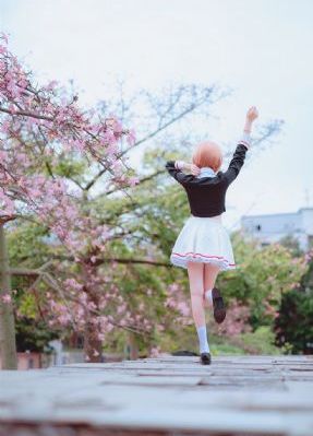 中餐厅第五季免费观看完整版_国产剧高清视频播放
